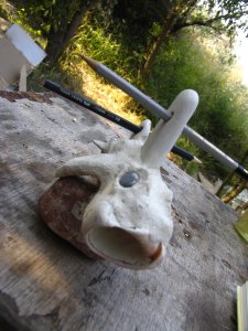 Риба-моливник