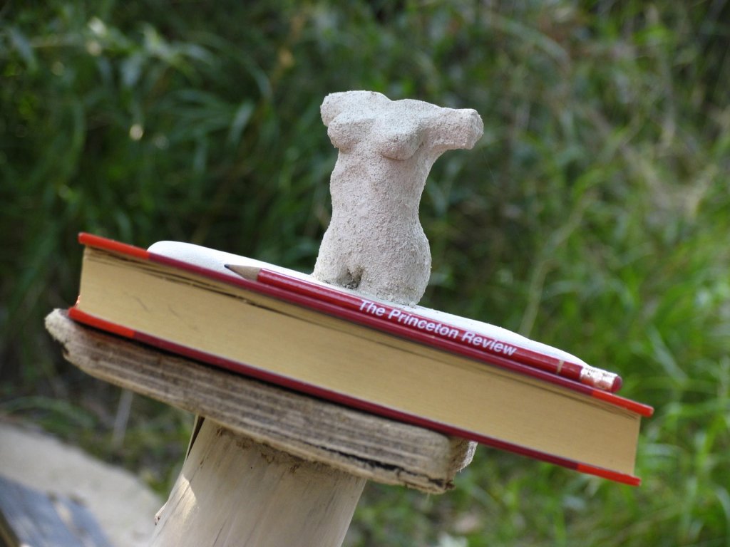 Женски торс