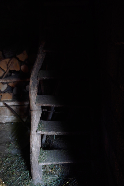 Старите стъпала охкат и припукват под внимателните стъпки.