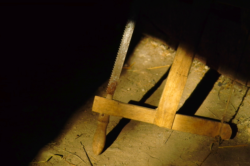 Бичкията си почива