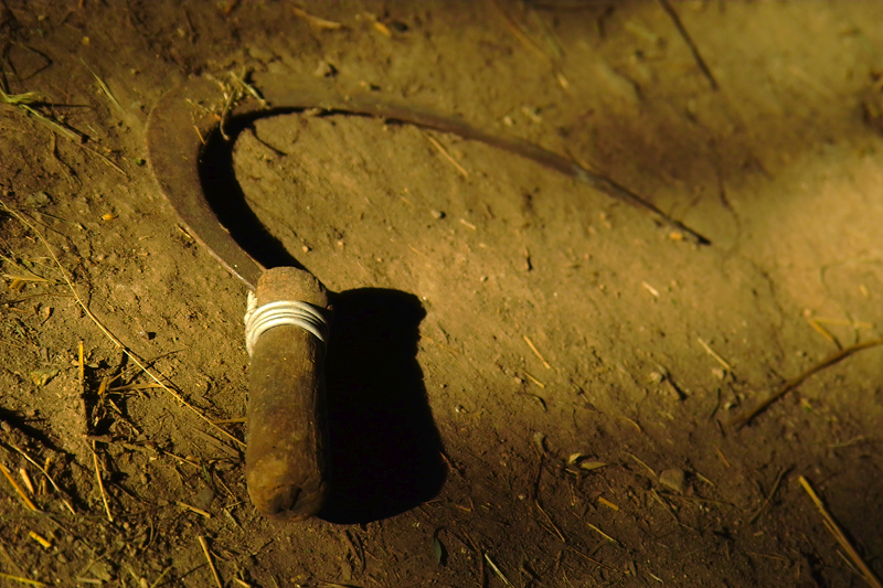 Сърпът отдавна не е прегръщал класове