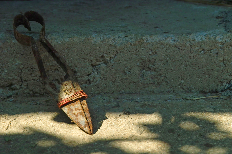 ножиците за стригане на вълна броят овце в съня си