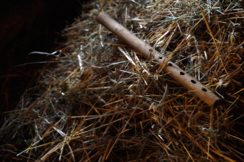 Старата свирка на пастира ще дочака плахите пръсти