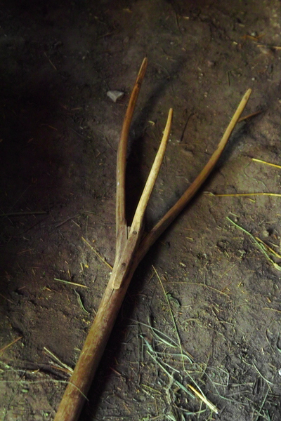 Трипръстата ръка с охота повдига сламата