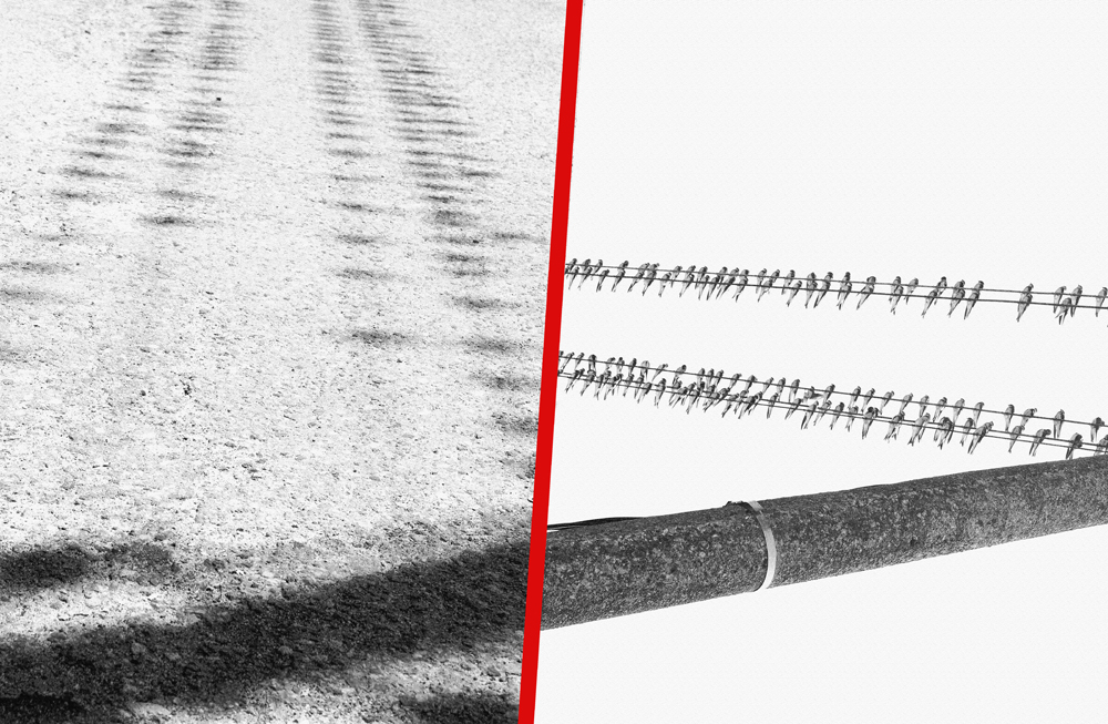 Дебела червена линия