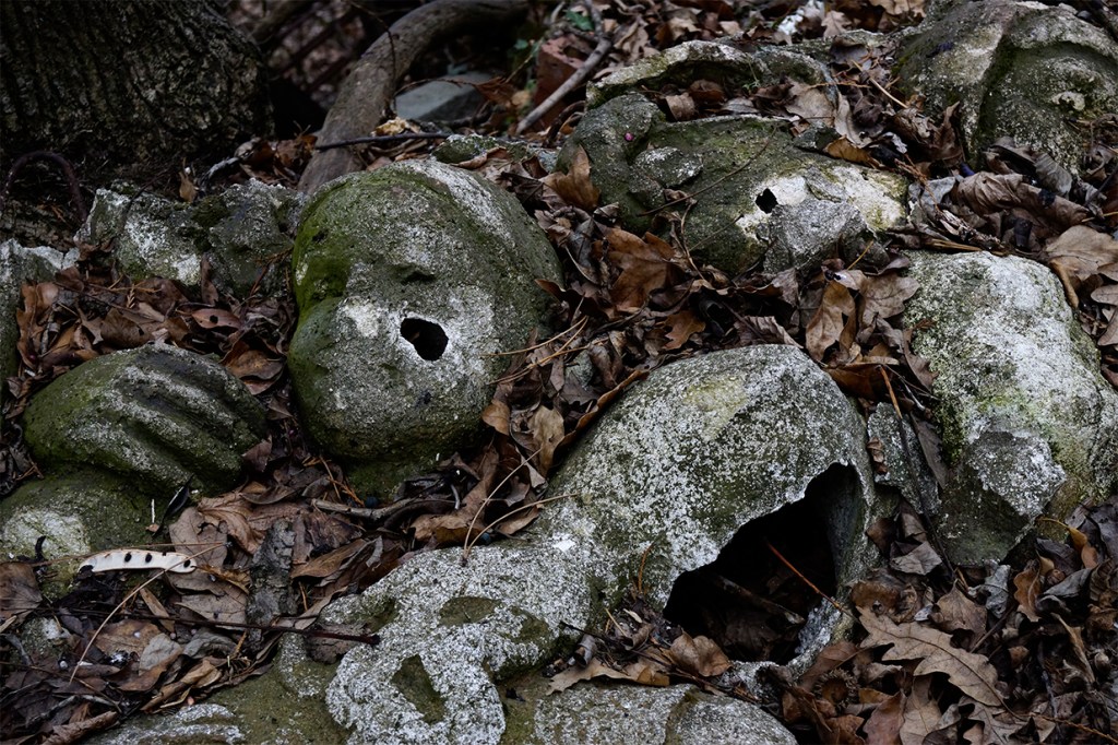 _DSC9668