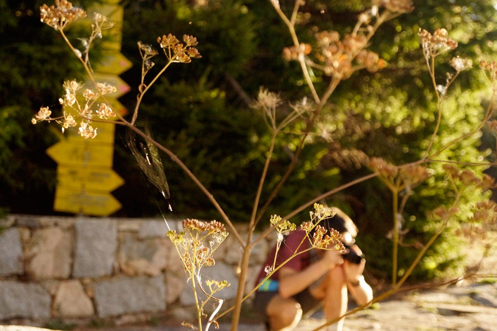 Снимка: Йоан Милев, 10 годишен _DSC5958