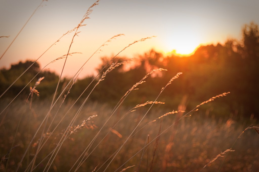 Изглед от палатката