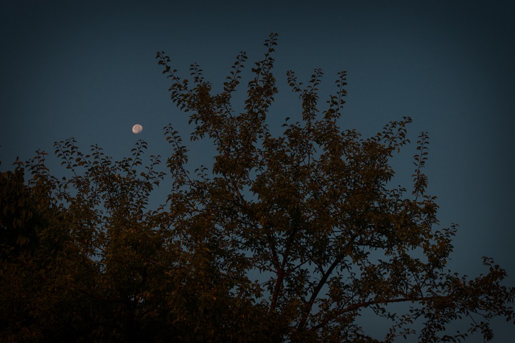 Безоблачната луна правеше нощите ни светли като ден.