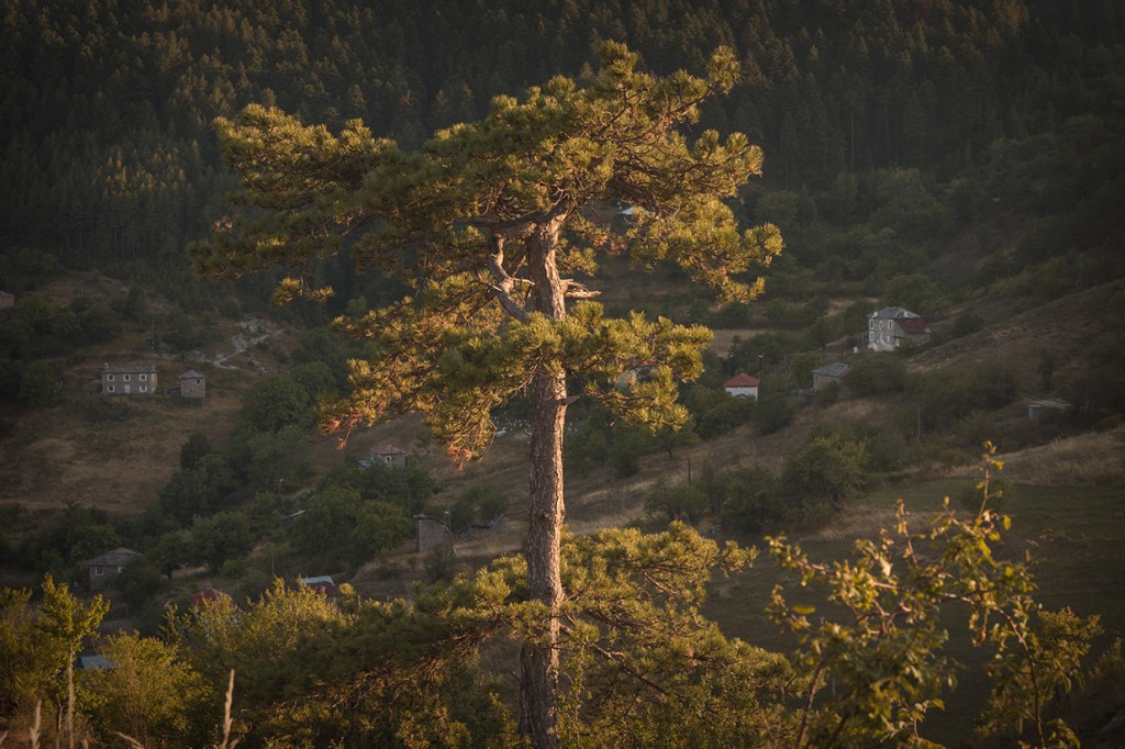 Село Три могили.