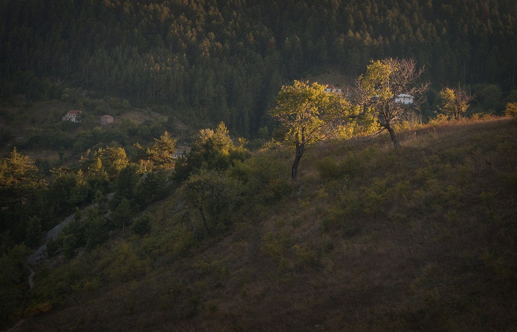 Село Три могили.