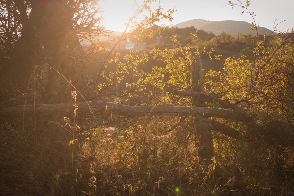 Село Три могили.