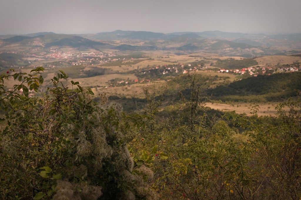 По пътя между Яворово и махала Чеганци.